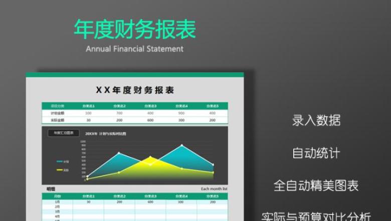 年度财务报表 年终财务报表（精美图表，自动计算）