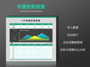 年度财务报表 年终财务报表（精美图表，自动计算）