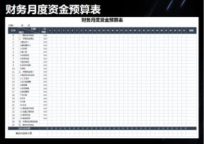 财务月度预算资金表