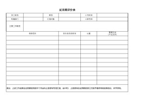 试用期评价表