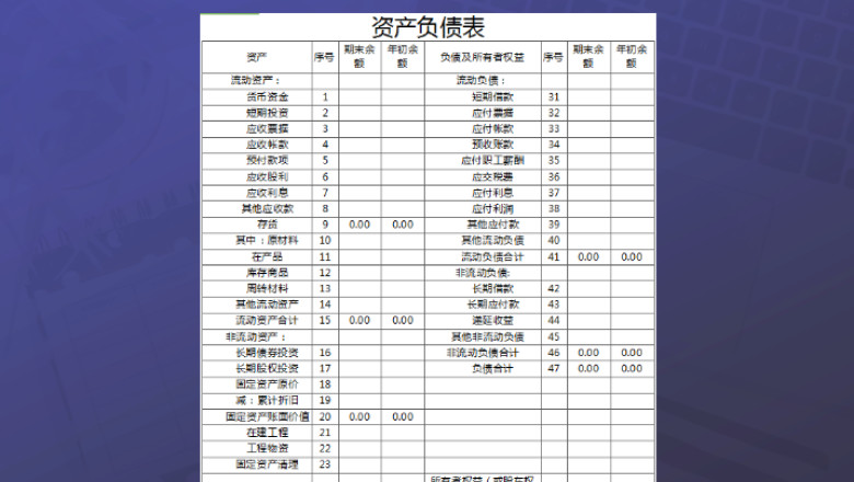 资产负债表（含各项表格汇总）