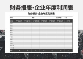 财务报表·企业年度利润表