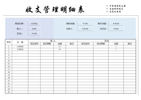 收支表（自定义查询）