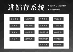 进销存管理系统（辅助录入，对账）