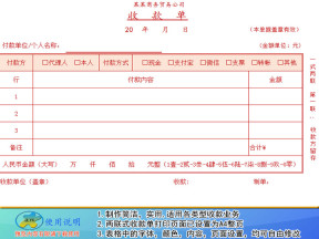 财务规范单据两联式收款单模板