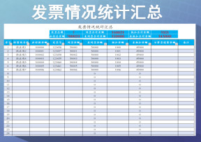 发票情况统计汇总