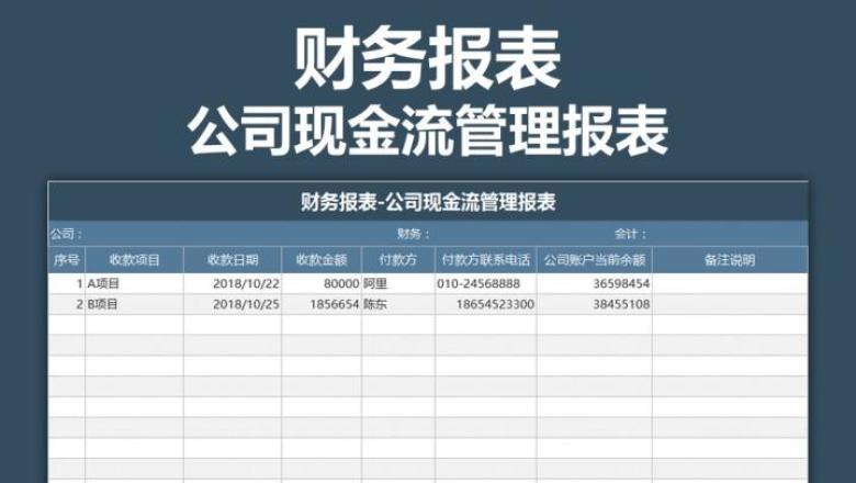 财务报表-公司现金流管理报表
