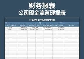 财务报表-公司现金流管理报表