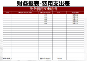 财务报表-费用支出表