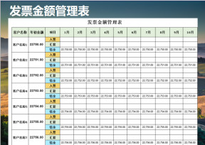 发票金额管理表