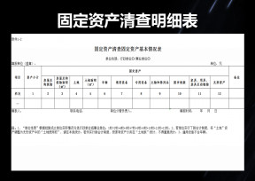 固定资产清查统计明细表
