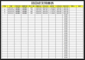 项目资金收支预算表