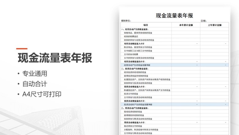 现金流量表年报