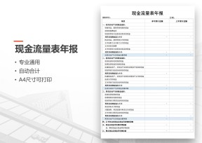 现金流量表年报