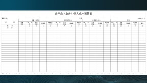 收入成本预算表
