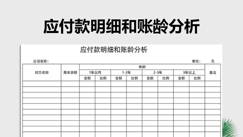 应付款明细和账龄分析（财务报表）