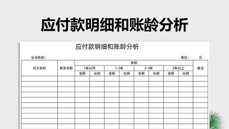 应付款明细和账龄分析（财务报表）