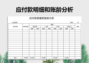 应付款明细和账龄分析（财务报表）