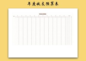 年度收支预算表