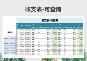 收支表-可查询