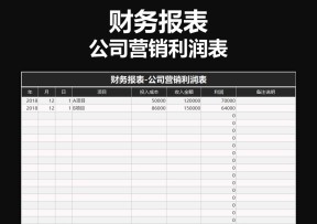 财务报表-公司营销利润表