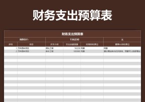财务支出预算表