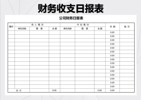财务收支日报表