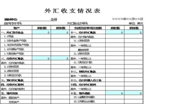 外汇收支情况表