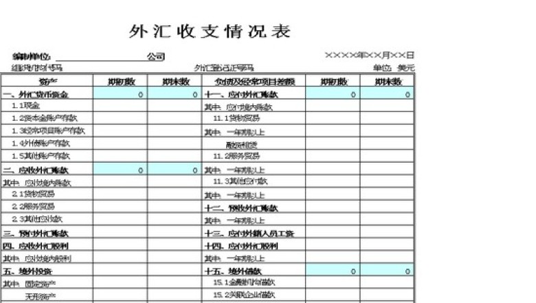 外汇收支情况表