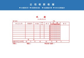 公司发票式收据通用Excel模板