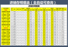 进销存明细表（可查询）