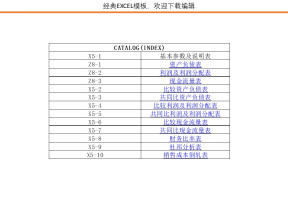 全套财务报表+财务指标分析系统模板