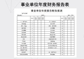 事业单位年度报告财务报表