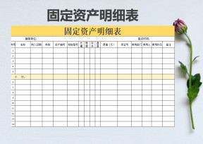 固定资产明细表(模板)