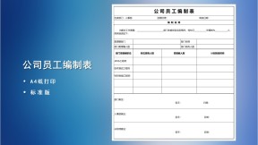 公司员工编制计划表