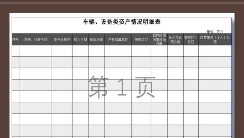 车辆、设备类资产情况明细表