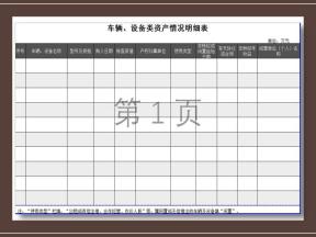 车辆、设备类资产情况明细表