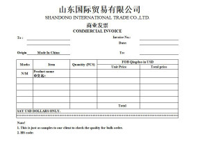 样品发送国际快递发票简洁模板