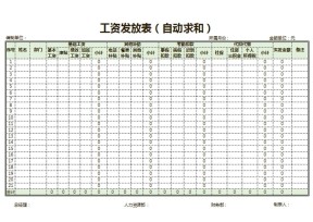 工资发放表
