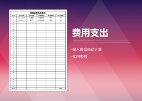 财务报表费用支出
