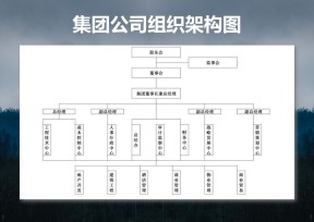 集团公司组织架构图
