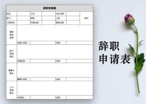 人事行政辞职申请表
