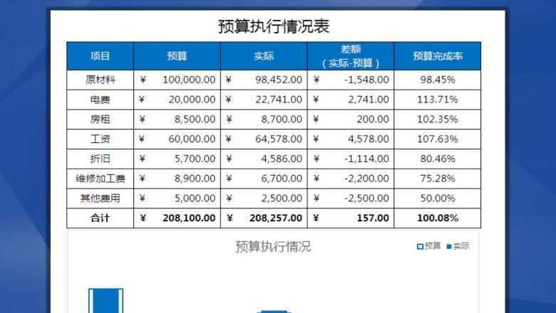 预算支出执行情况表
