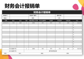 财务会计报销单