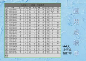 中小学通用简约成绩表