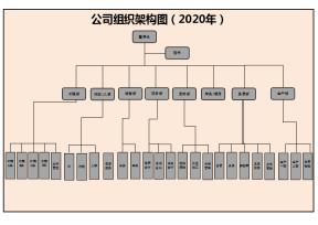 组织架构图
