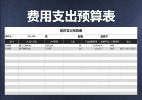 费用支出预算表