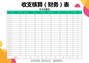 收支核算表(财务报表)