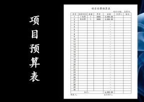 项目经费预算表