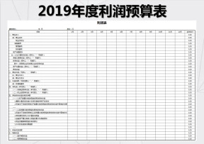 年度利润表